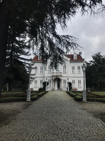 MASLAK KASIRLARI