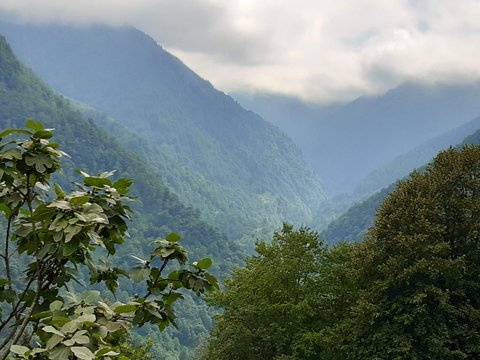 ORTACALAR ÇİFTE KÖPRÜLER