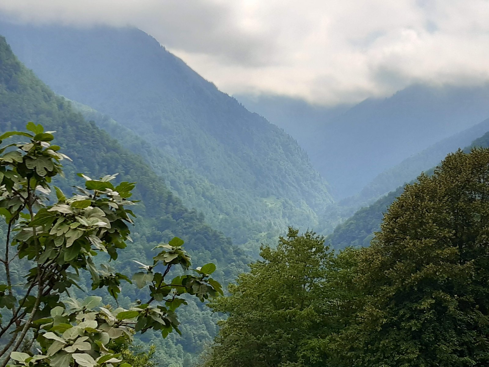 ORTACALAR ÇİFTE KÖPRÜLER görseli