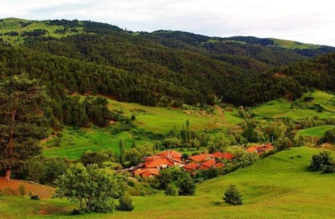 OSMANCIK BAŞPINAR KARACA YAYLASI