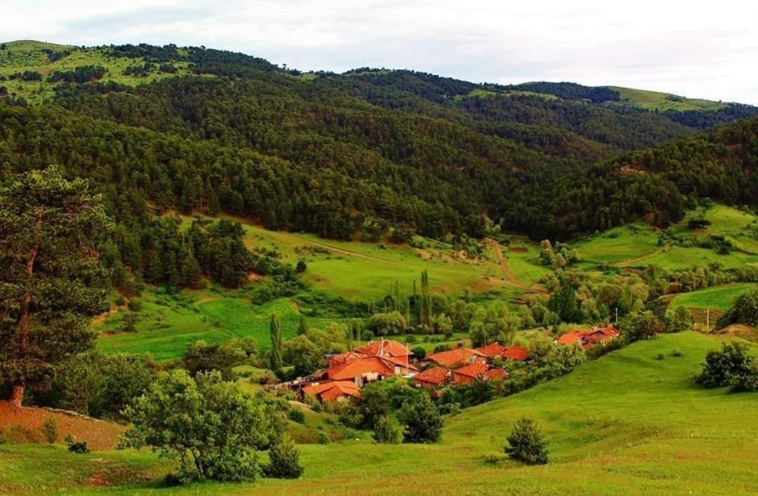 OSMANCIK BAŞPINAR KARACA YAYLASI görseli