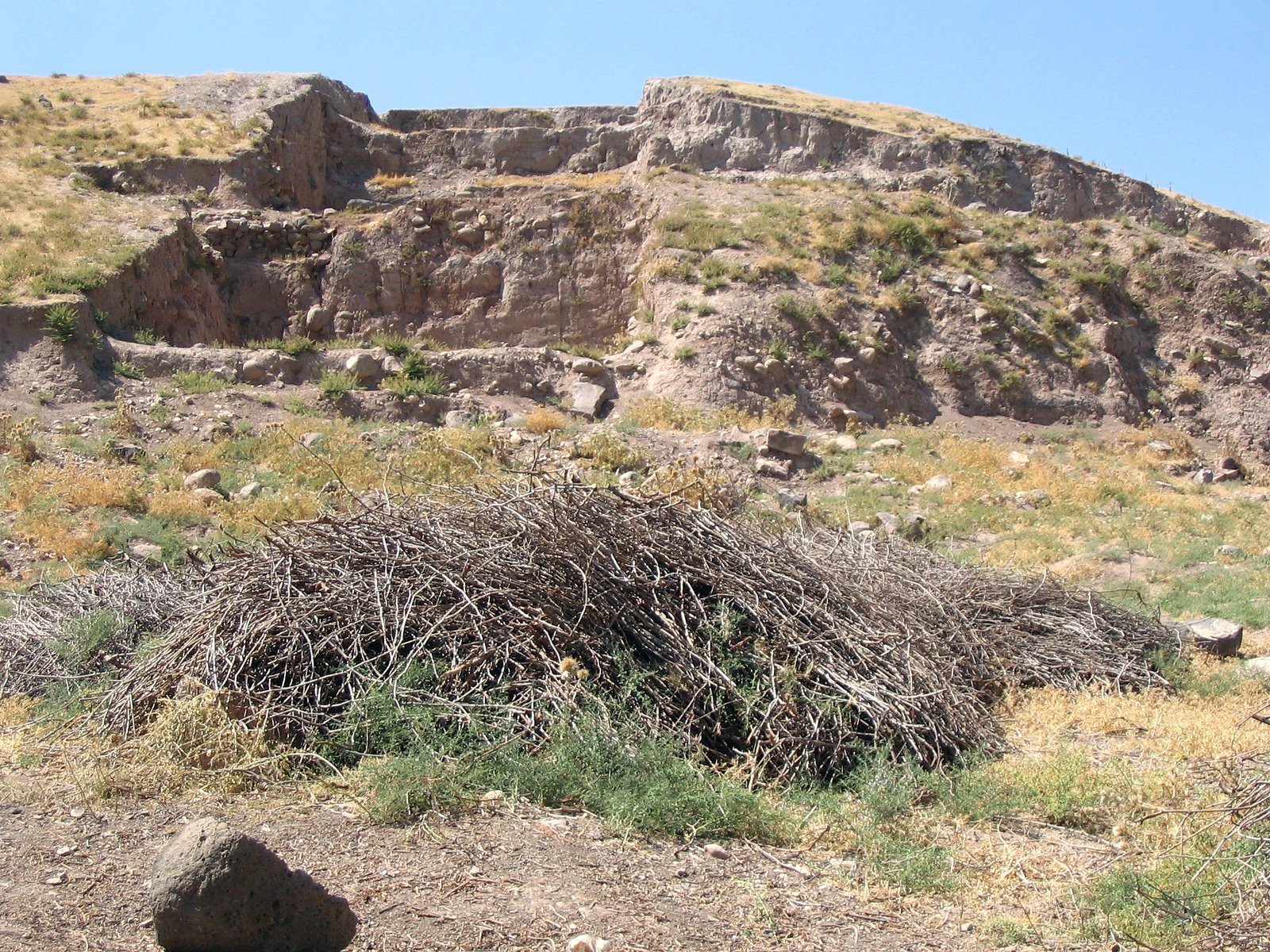 OYLUM HÖYÜK görseli