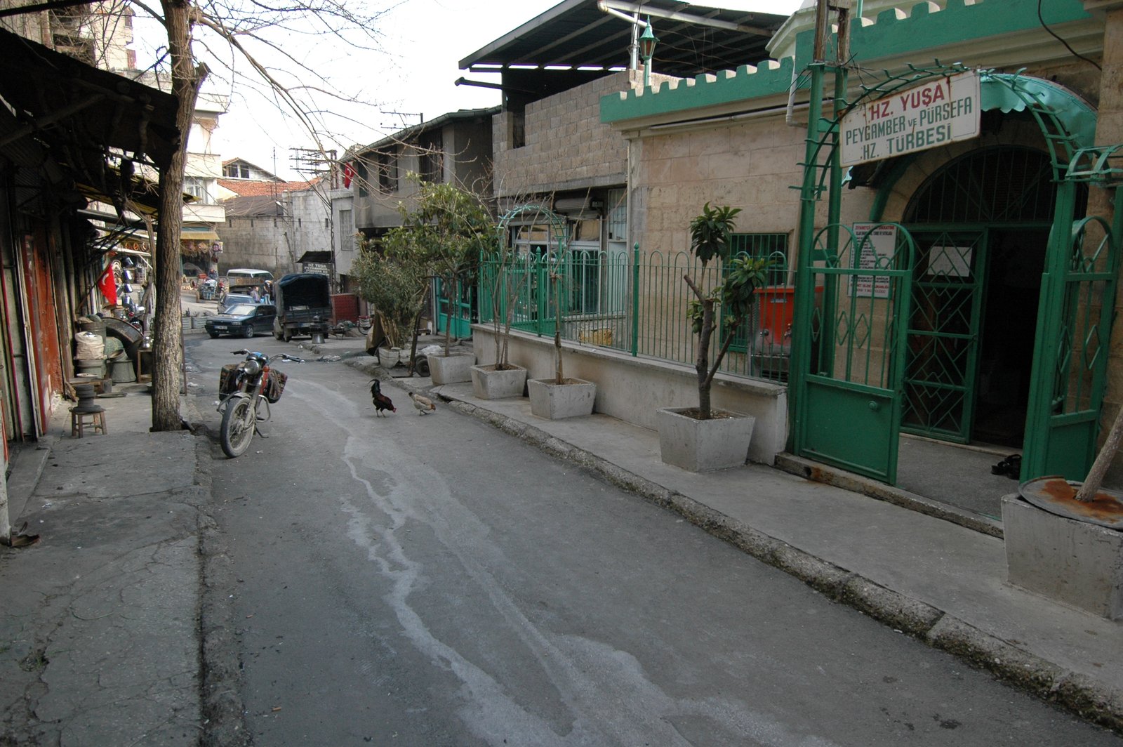 PİRSEFA HAZRETLERİ VE YUŞA PEYGAMBER TÜRBESİ görseli