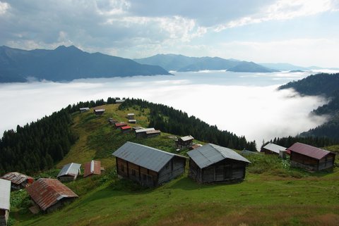 POKUT YAYLASI