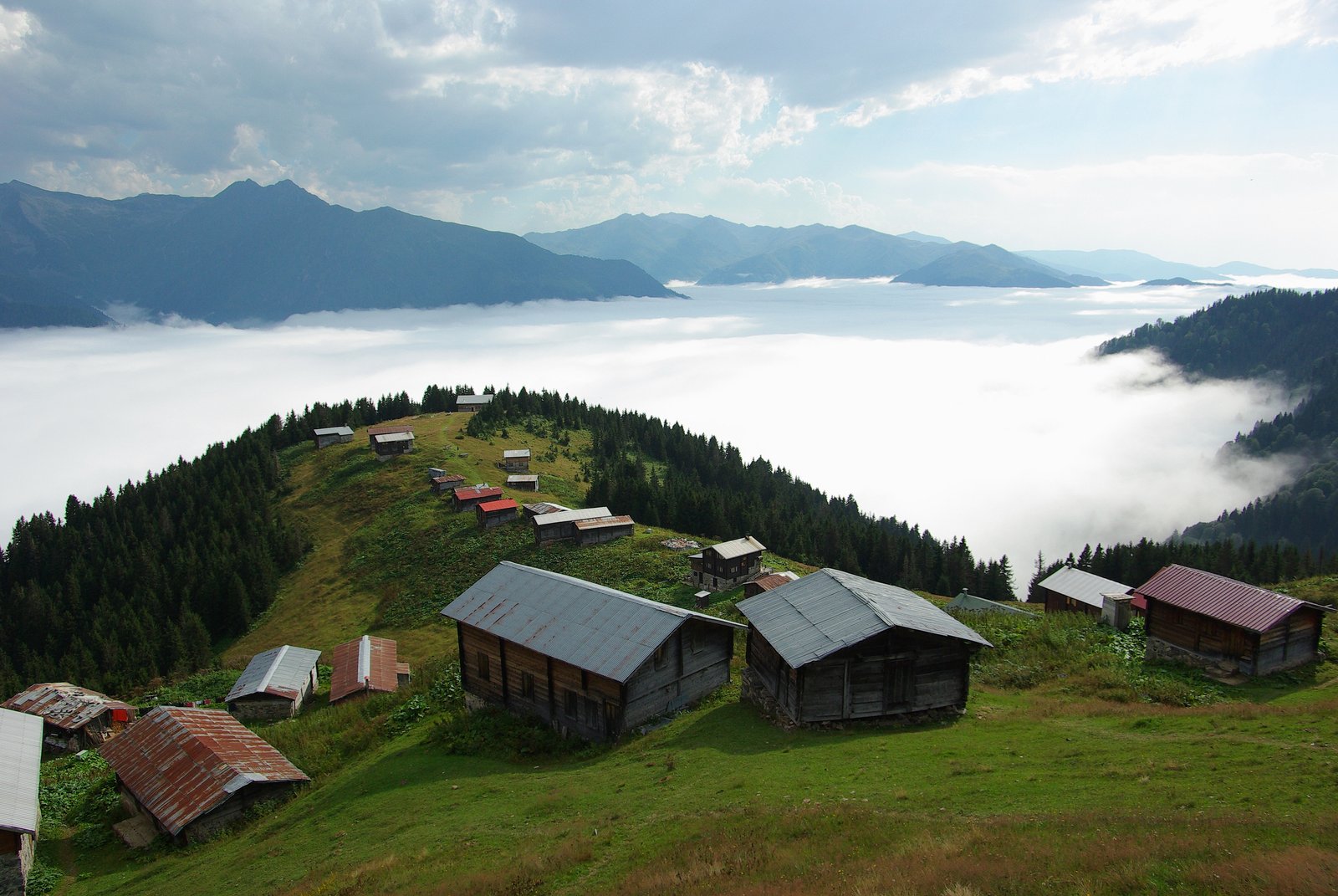 POKUT YAYLASI görseli