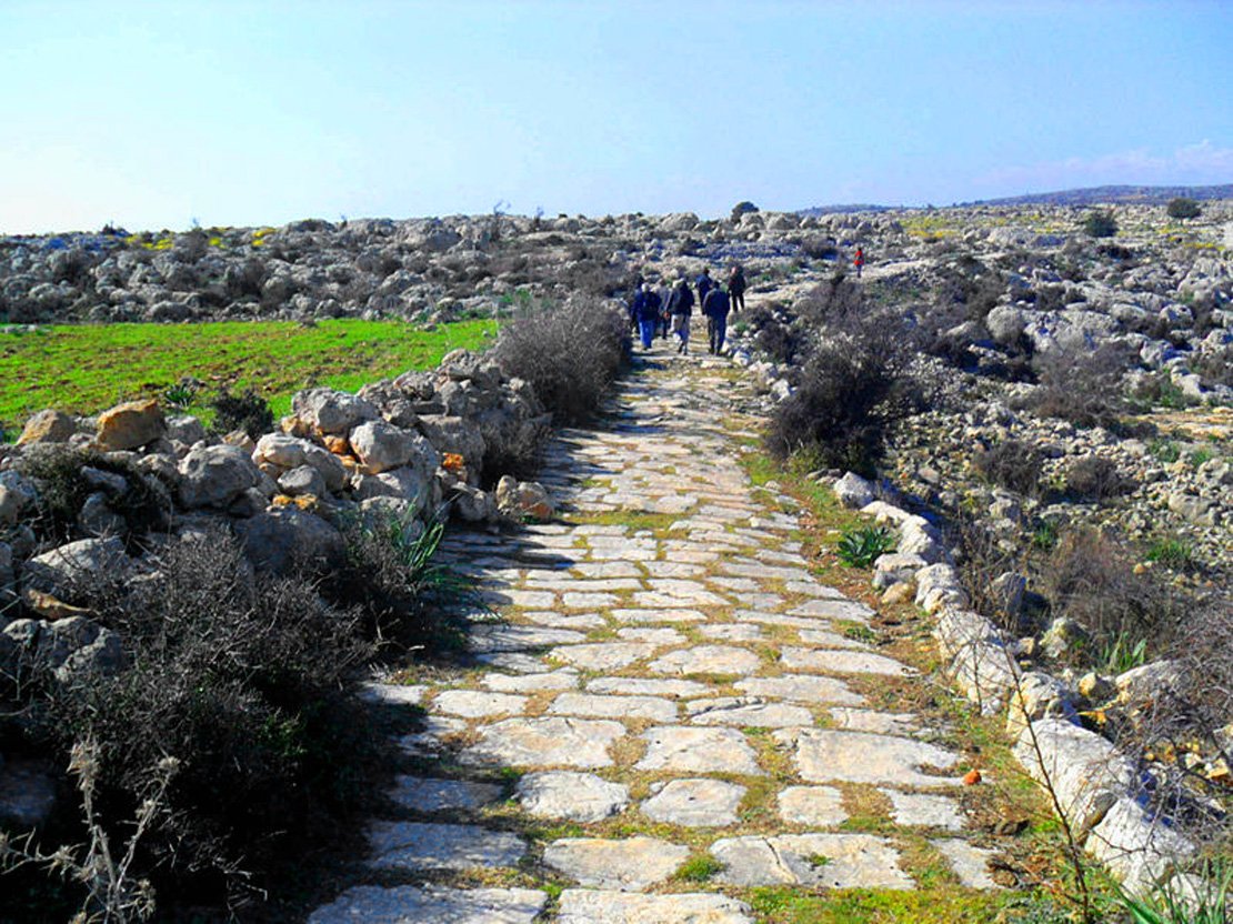 ROMA YOLU VE KAPISI (SAĞLIKLI) görseli