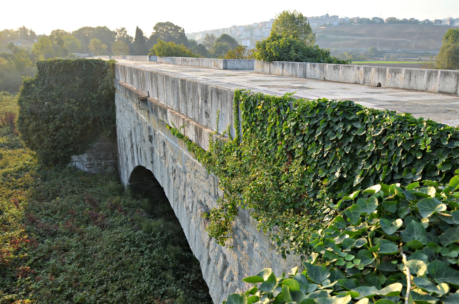SANGARIUS BRIDGE KÖPRÜSÜ görseli