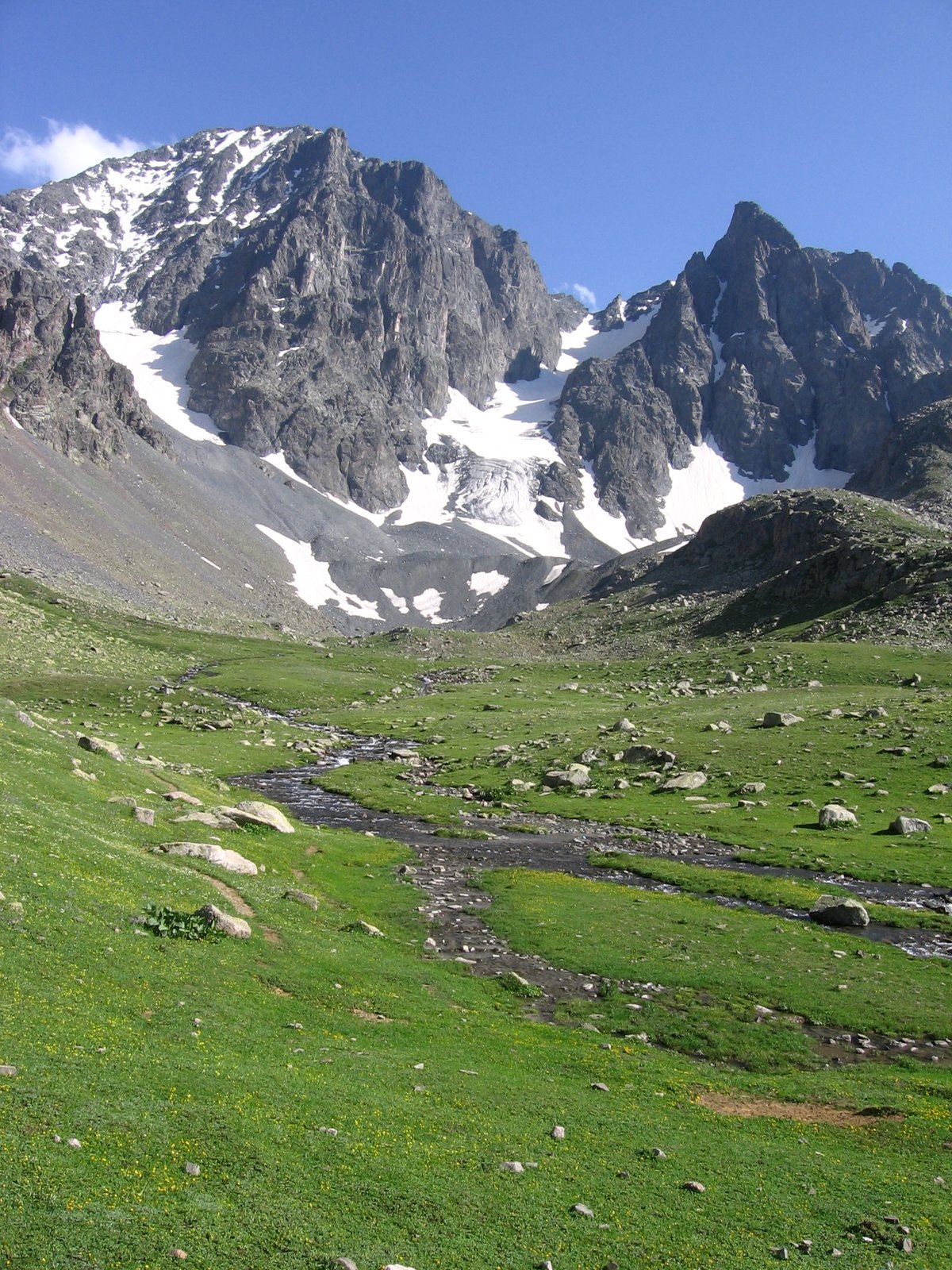 SARIKAMIŞ-ALLAHUEKBER MOUNTAINS NATIONAL PARK DAĞI görseli