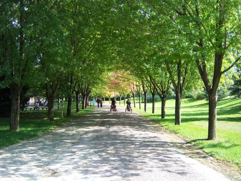 SOĞANLI BOTANİK PARKI