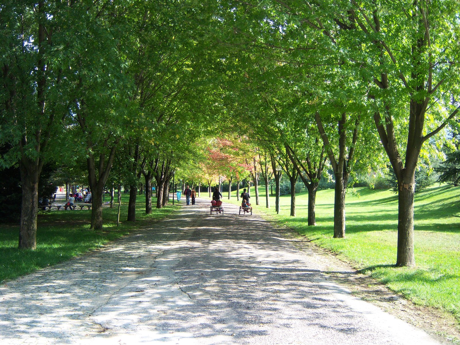 SOĞANLI BOTANİK PARKI görseli