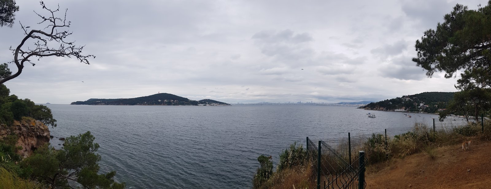 SÜLÜKLÜGÖL TABİAT PARKI görseli