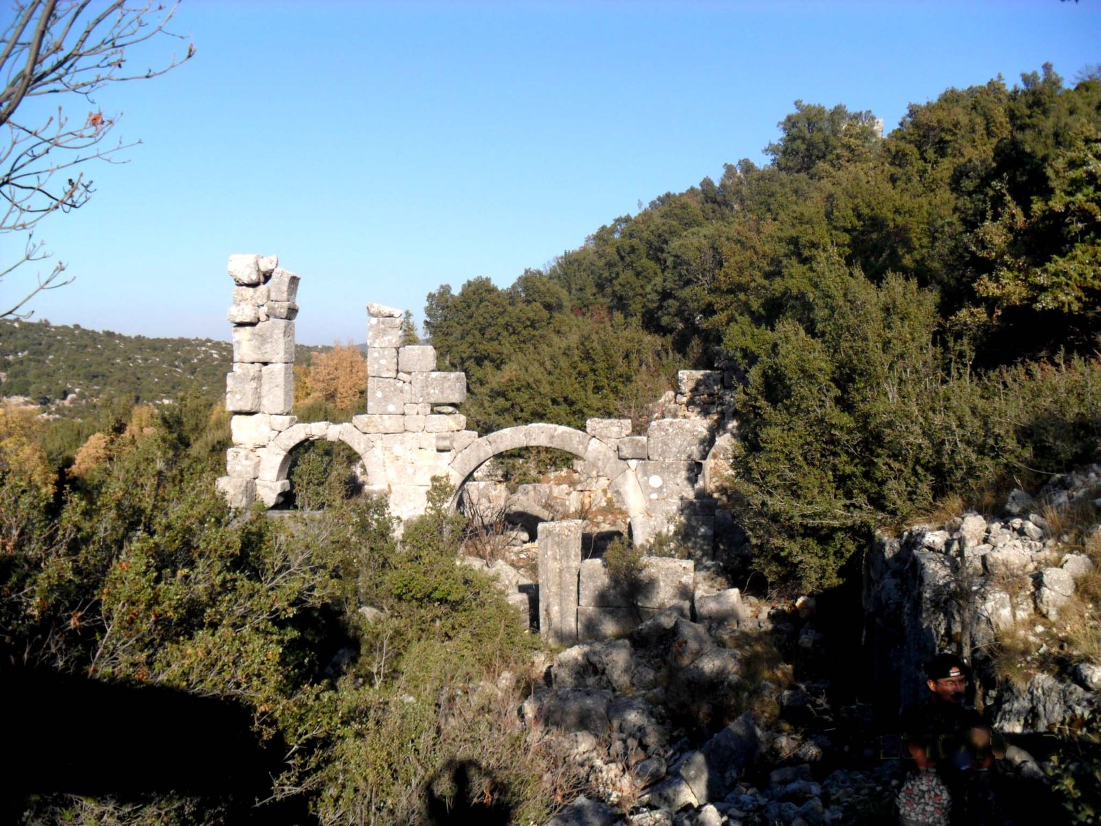 TAPURELİ görseli