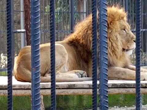 TARSUS ZOO ANTİK KENTİ