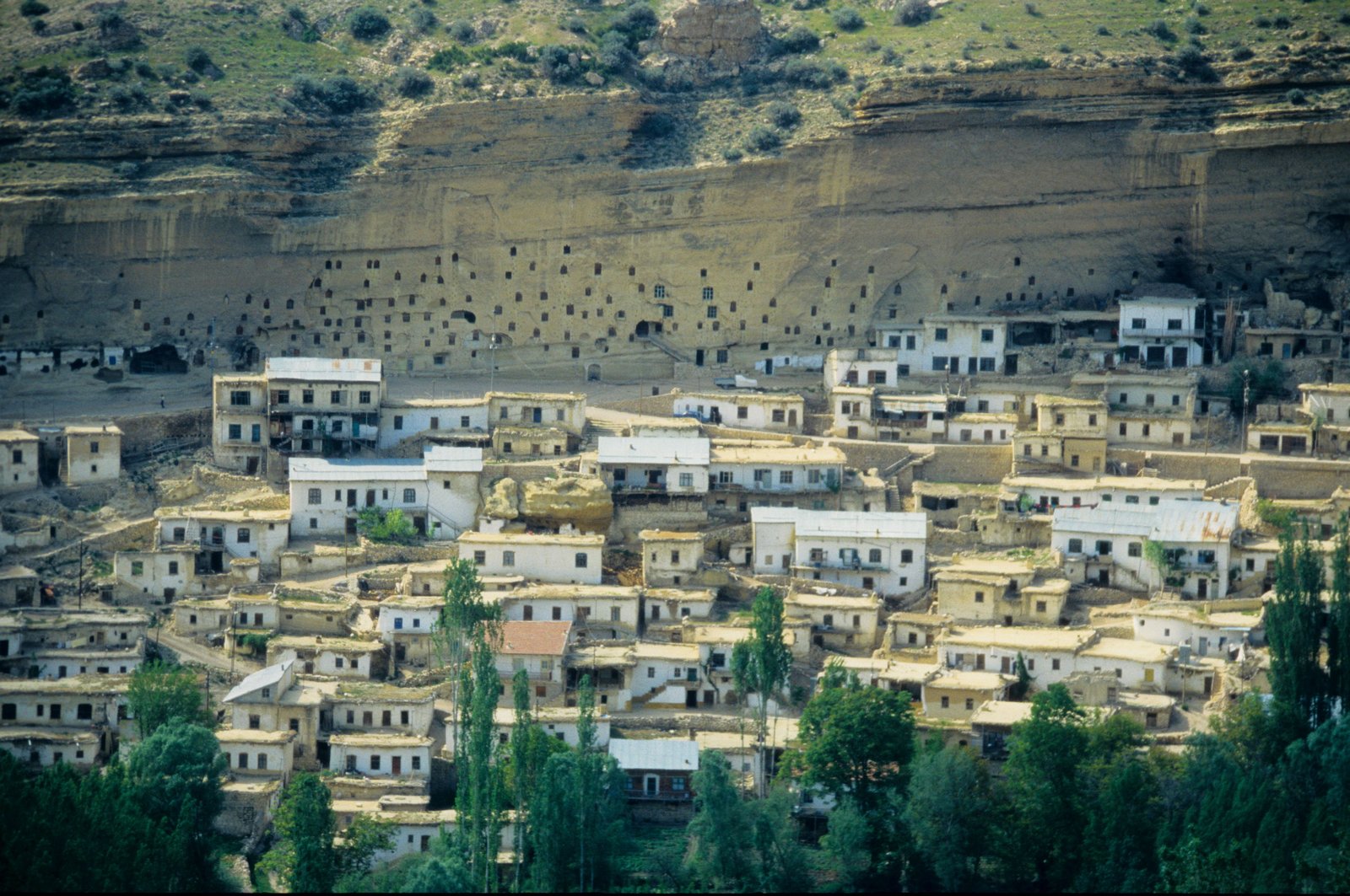 TAŞKALE TAŞMESCİT görseli