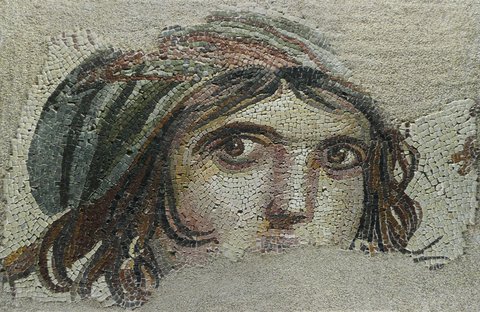 ZEUGMA MOZAİK MÜZESİ