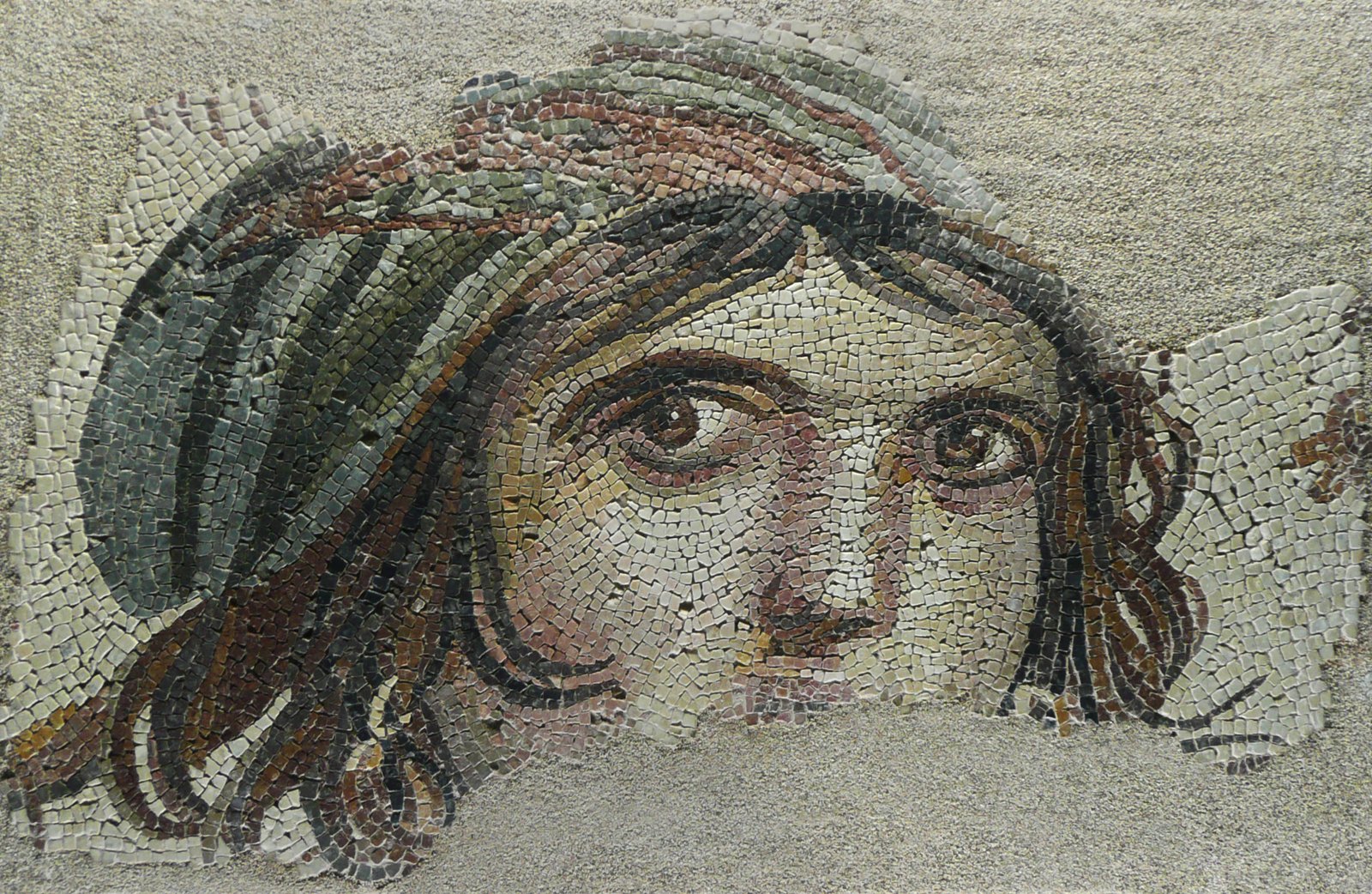 ZEUGMA MOZAİK MÜZESİ görseli